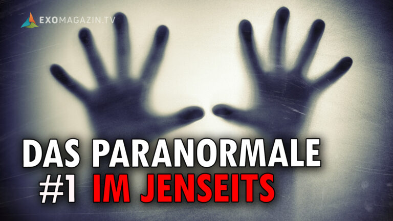 Das Paranormale 1 - Im Jenseits