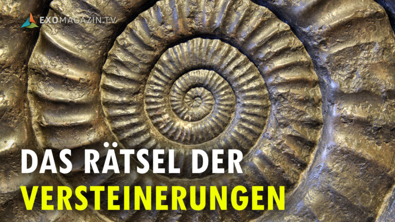 Rätsel der Versteinerungen