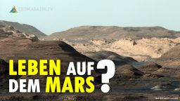 Leben auf dem Mars?