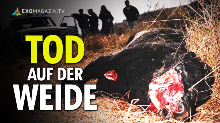 Tod auf der Weide - Das Rätsel der Viehverstümmelungen