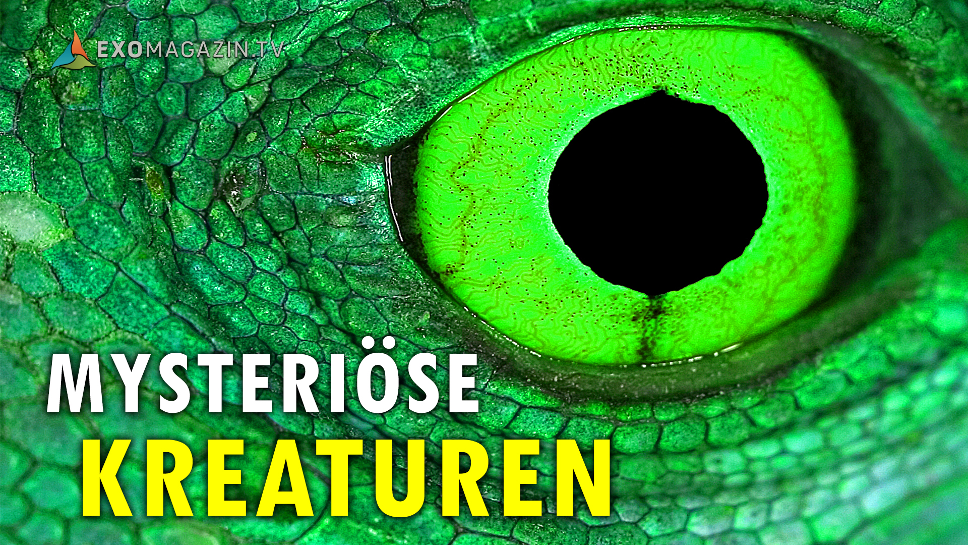 Fallback Thumbnail