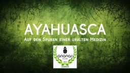 Ayahuasca - Auf den Spuren einer uralten Medizin