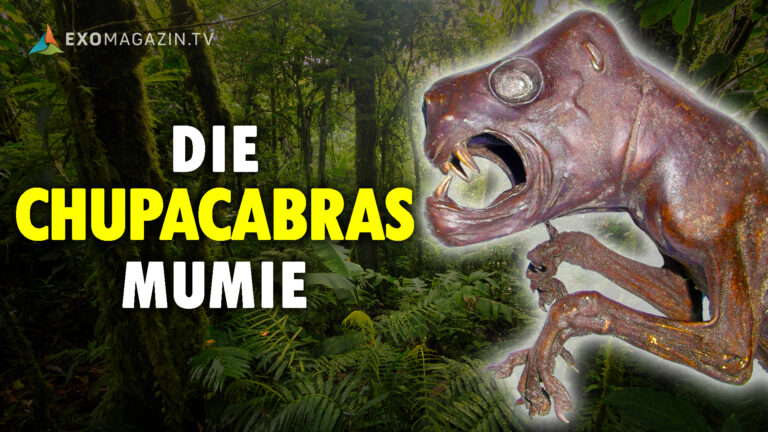 Die Chupacabras-Mumie