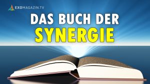Das Buch der Synergie