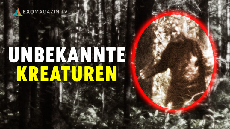Unbekannte Kreaturen