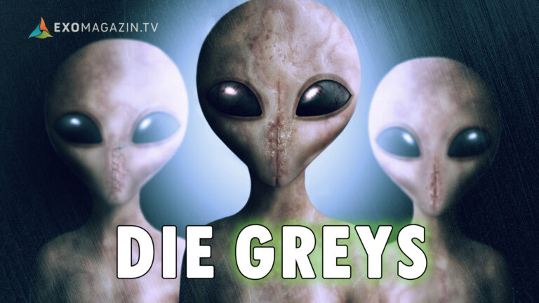 Die Greys