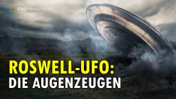 Der UFO-Absturz von Roswell - Die Augenzeugen berichten (Donald Schmitt)