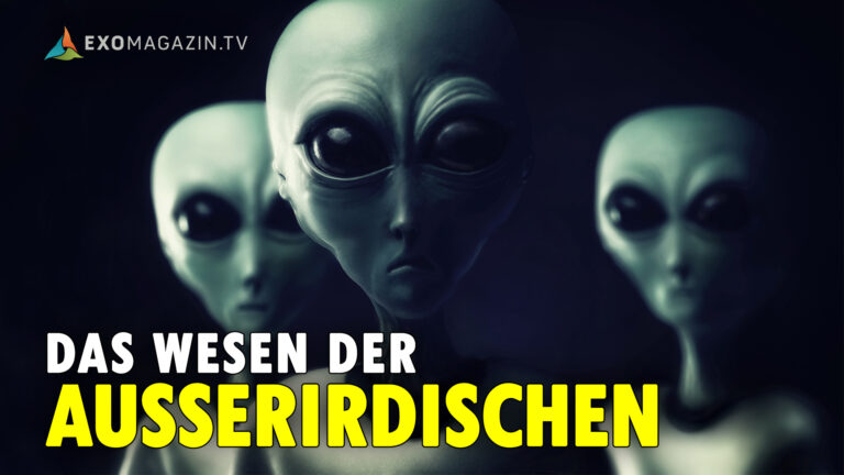 Das Wesen der Außerirdischen