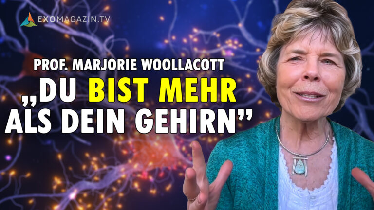 Marjorie Woollacott Du bist mehr als Dein Gehirn